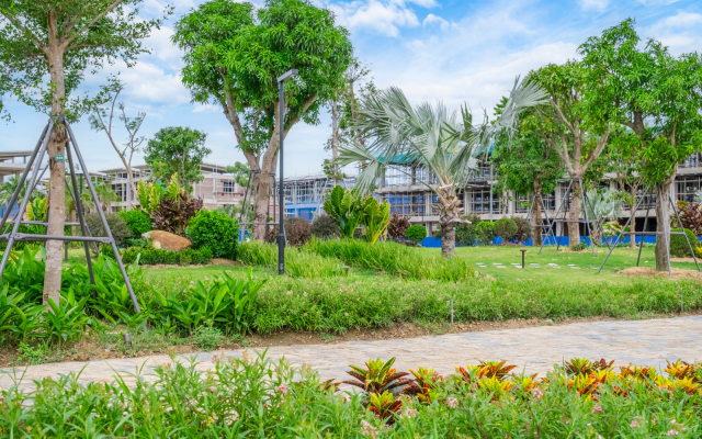 nhịp-song-xanh-merivista-album-072026-6