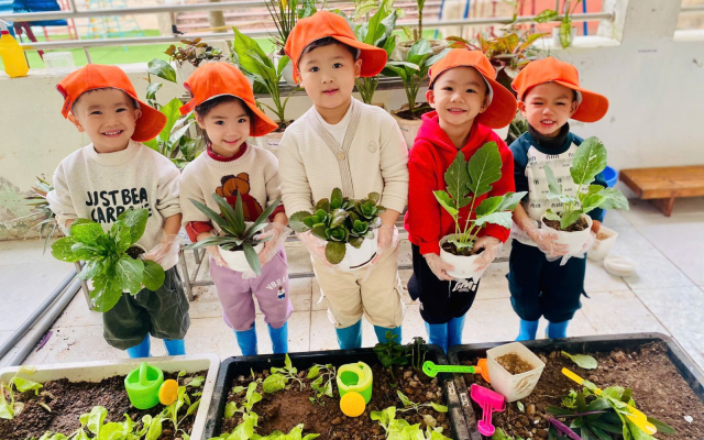 truong-mam-non-vsip-nghe-an-aura-bird-kindergarten-merivista